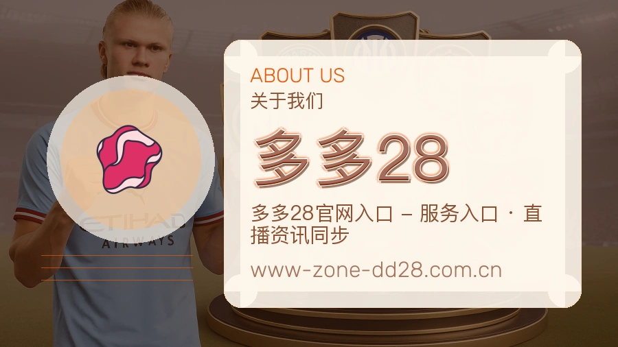 多多28平台简介展示